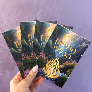 תיקון הכללי בעיצוב "האש שלי" מבית מיכל גרין