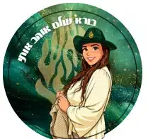 מדבקה מאוירת עם משפט דגל של מיכל גרין
